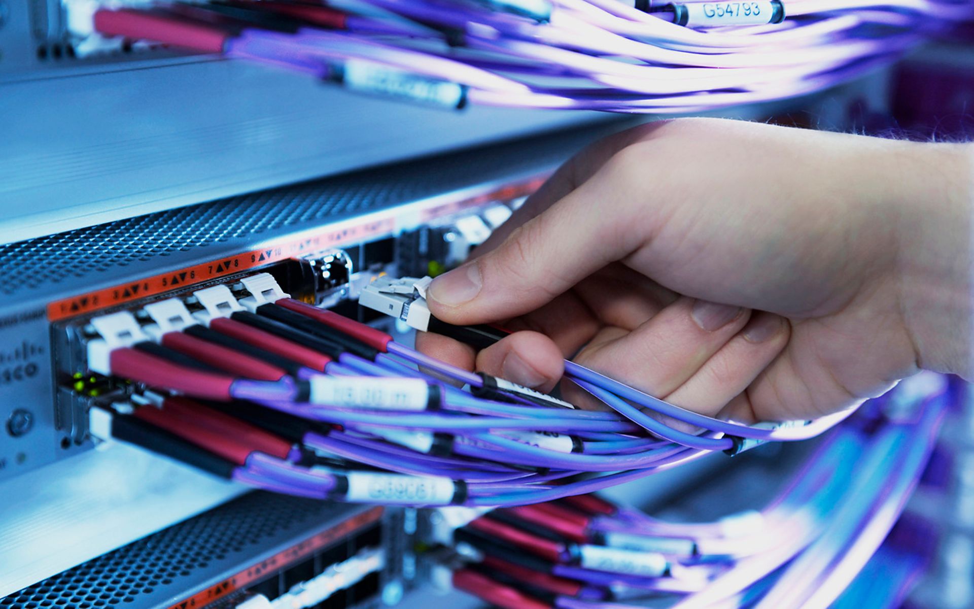 Hand steckt Breitbandkabel ein